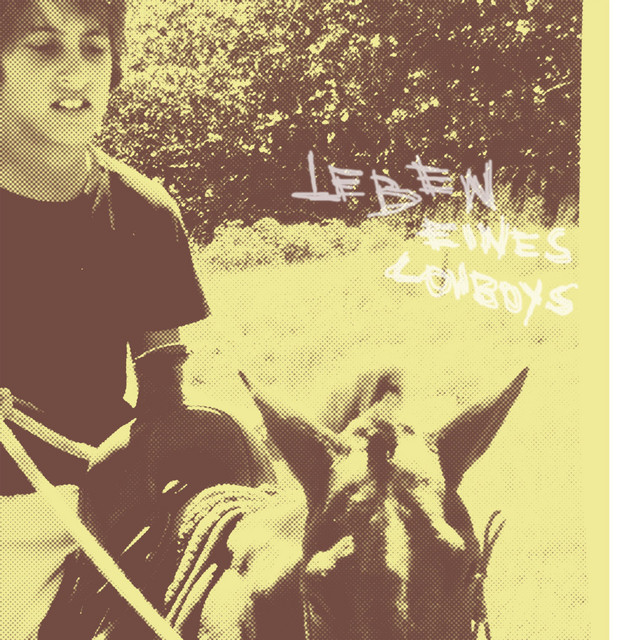 Leben eines Cowboys cover art