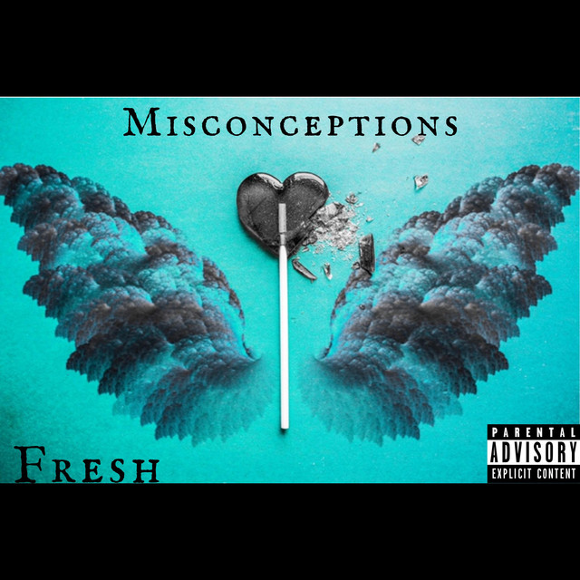 Misconceptions cover art