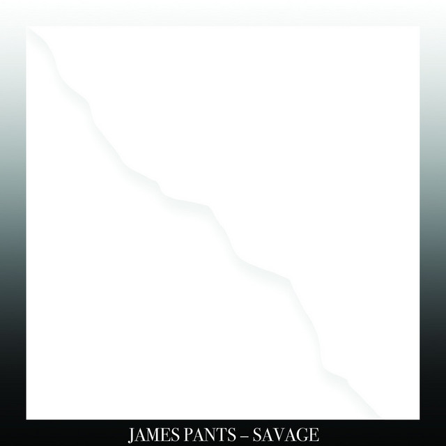 Savage cover art