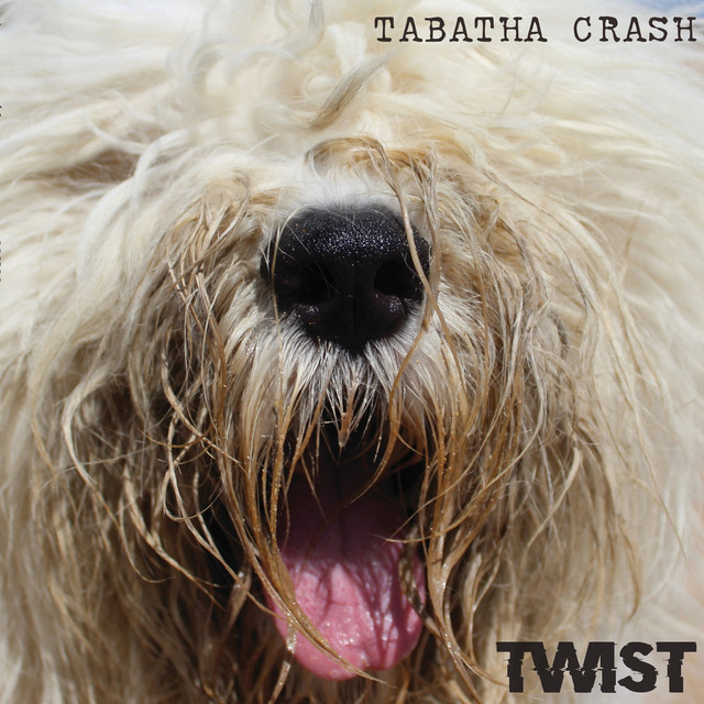 Twist cover art
