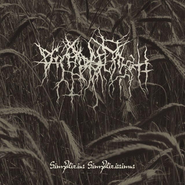 Simplicius Simplicissimus cover art
