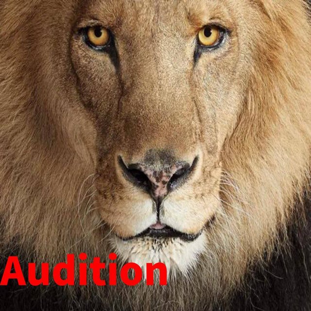 Audition cover