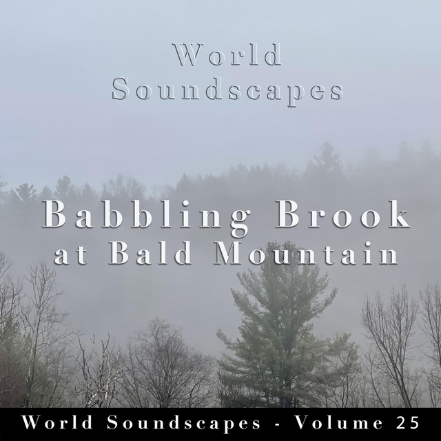 World Soundscapes, Vol. 25: Babbling Brook at Bald Mountain cover art