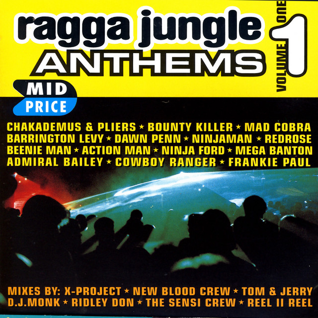 Ragga Jungle Anthems Vol. One - Compilation by Various Artists