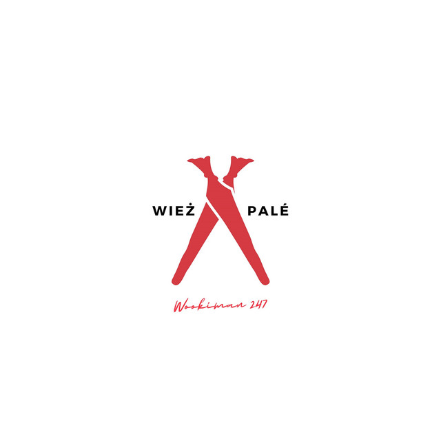 Wieża Palé cover art