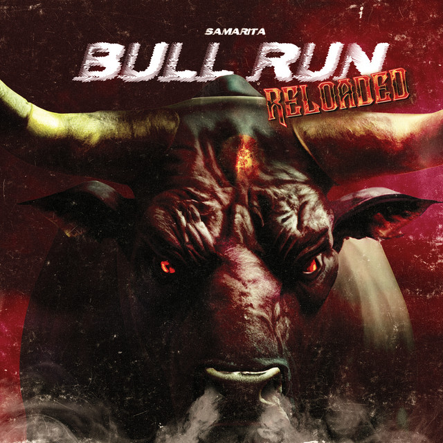 Bull Run Reloaded cover