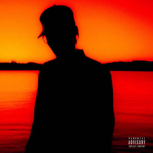 Illégalement Téléchargé sur LimeWire cover art