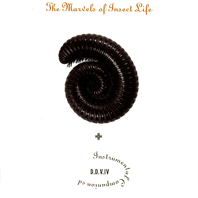 Doctor Deaths IV - The Marvels of Insect Life + Instrumental Companion cover