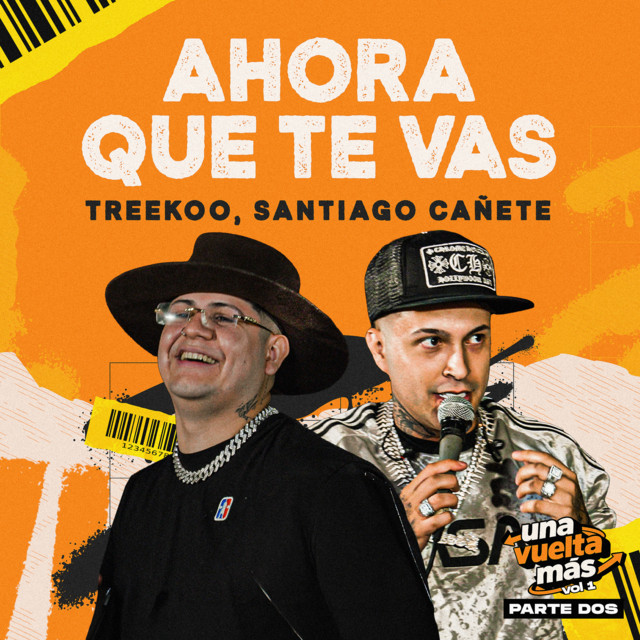 Ahora Que Te Vas - En Vivo