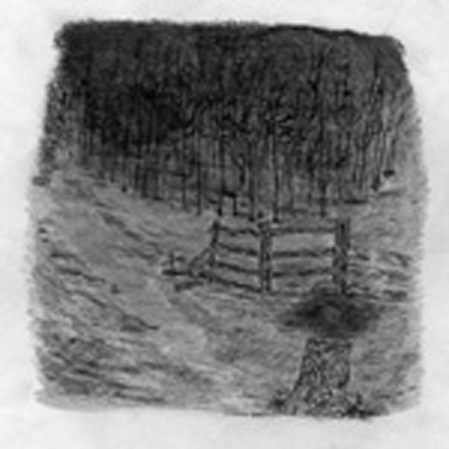 Farewell Forest cover art