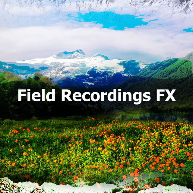 Field Recordings FX - Album by The Field Recording Collective | Spotify