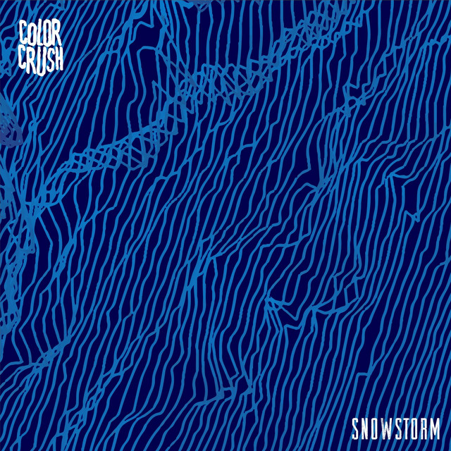 Snowstorm cover