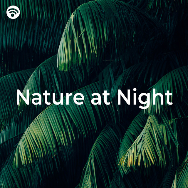 Nature at Night (Better Sleep Sounds)