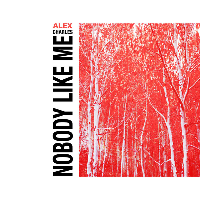 Nobody Like Me cover