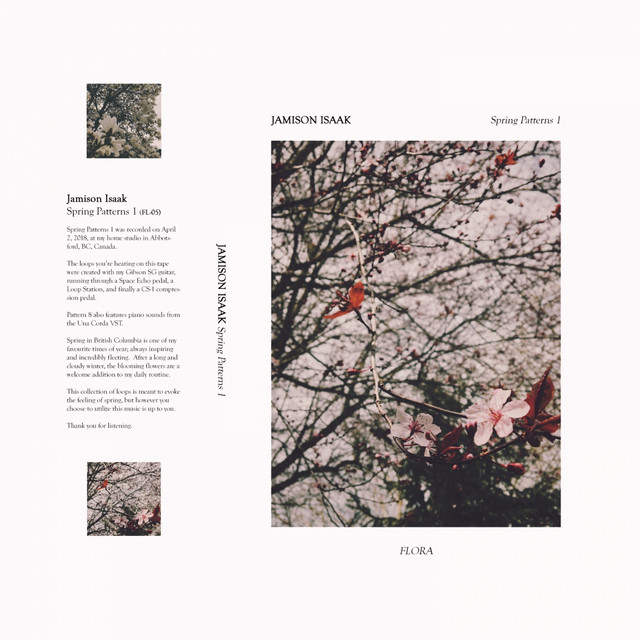 Spring Patterns 1 cover art