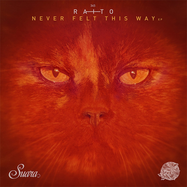 Never Felt This Way cover art