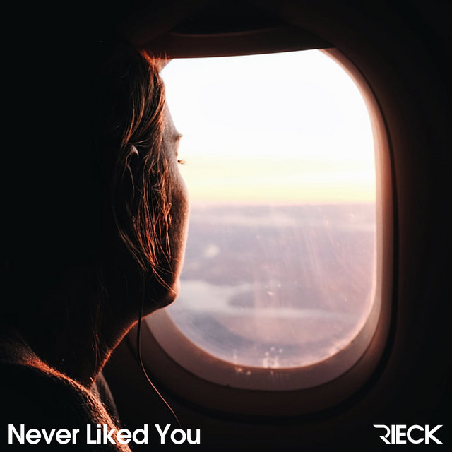Never Liked You