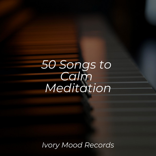 50 Songs to Calm Meditation - Album by SD | Spotify