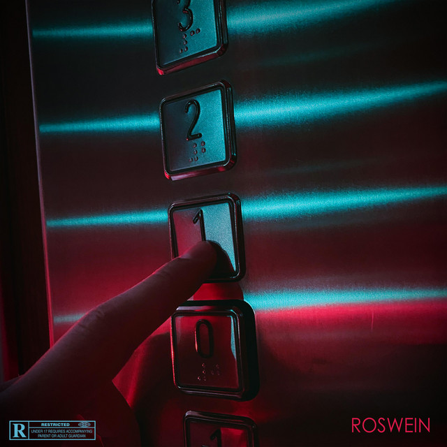 R.D.V cover art