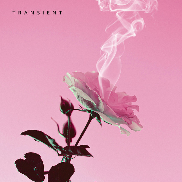 Transient cover art