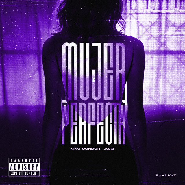 Mujer Perfecta
