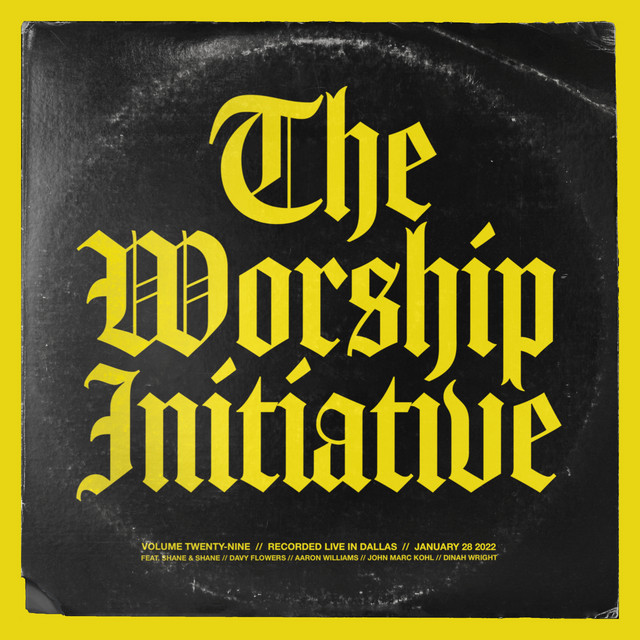 The Worship Initiative, Vol. 29 (Accompaniments - Live)