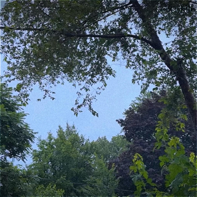 Mysteries of Adolescence cover art