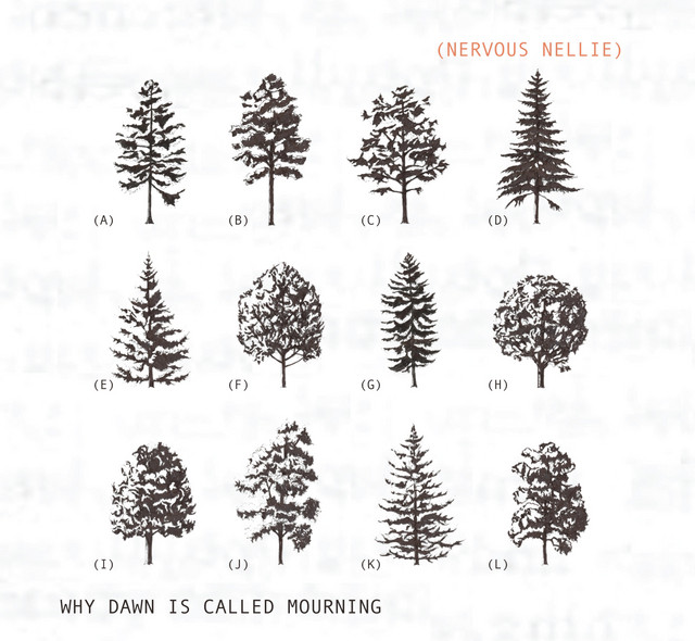 Why Dawn Is Called Mourning cover art