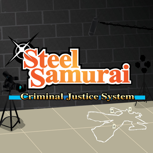 Criminal Justice System cover