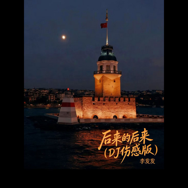 后来的后来 - Dj伤感版