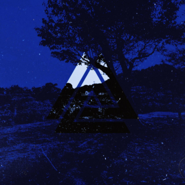 LEECH/NEXT cover art