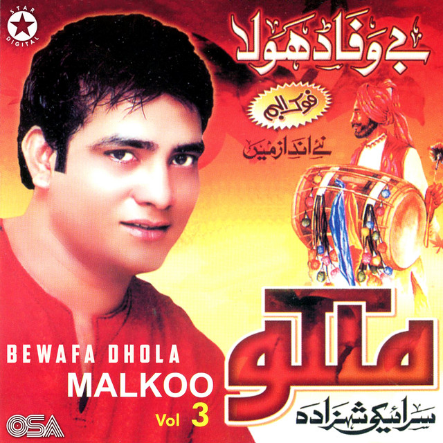 Bewafa Dhola, Vol. 3 cover art