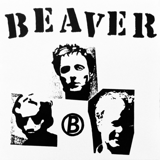 Beaver cover art