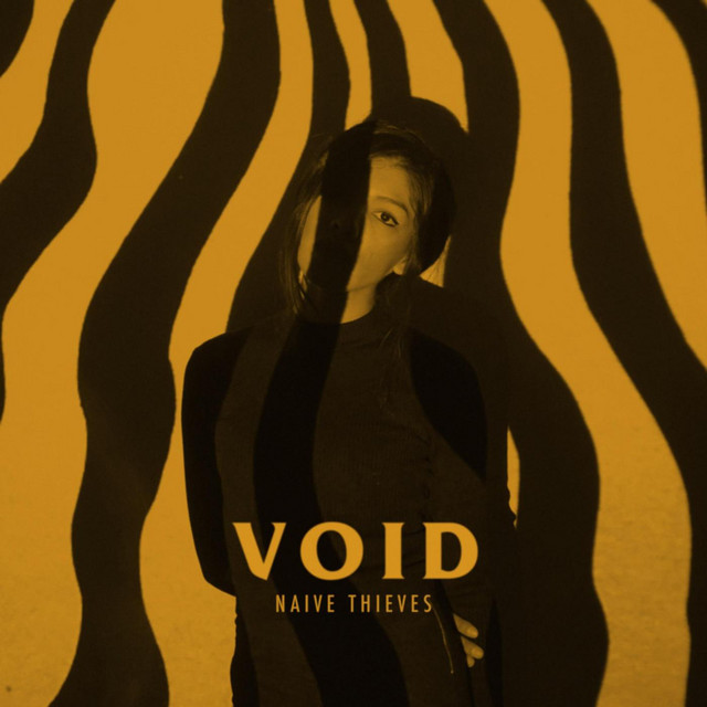 Void cover art