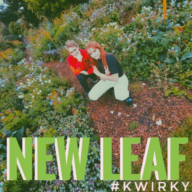 Kwirky Photo
