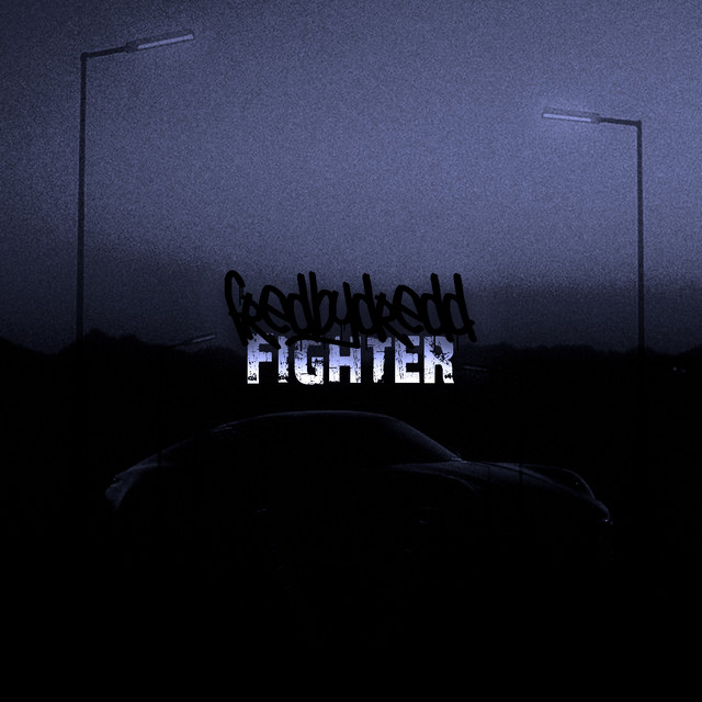 Fighter cover art