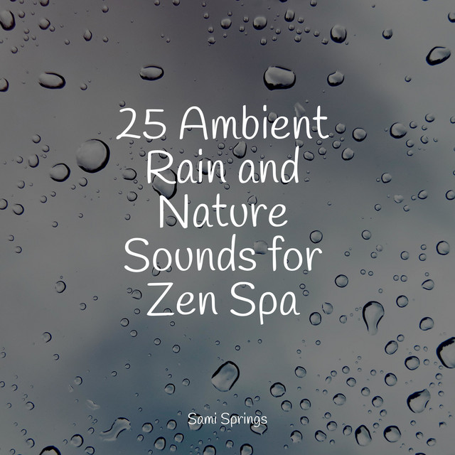 25 Ambient Rain and Nature Sounds for Zen Spa - Album by Relax ...