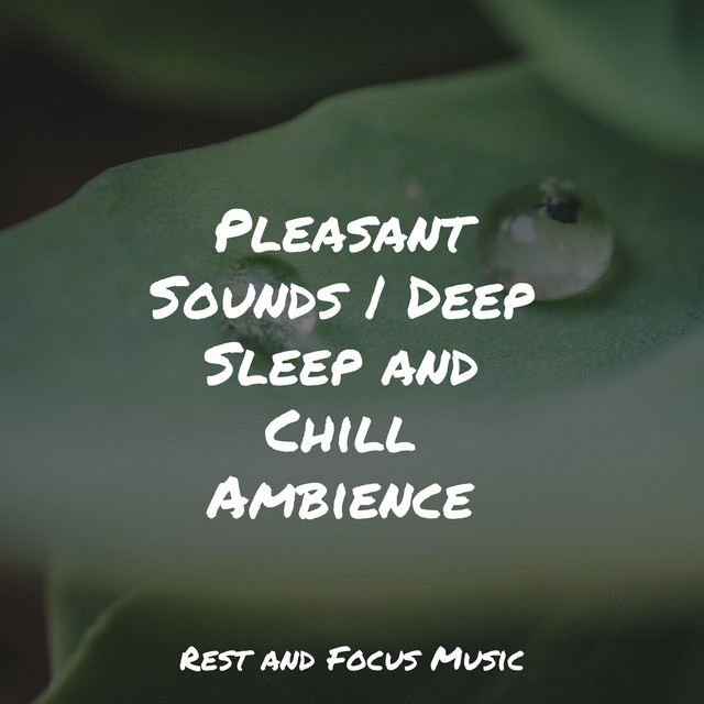Pleasant Sounds | Deep Sleep and Chill Ambience - Album by Spa & Spa ...