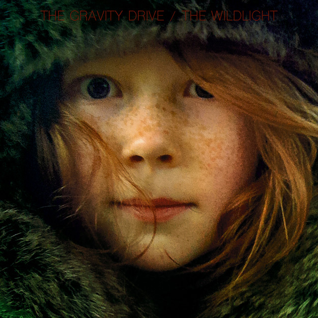 The Wildlight cover art