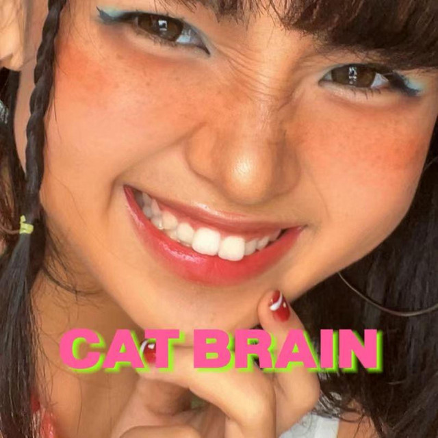 猫腦花