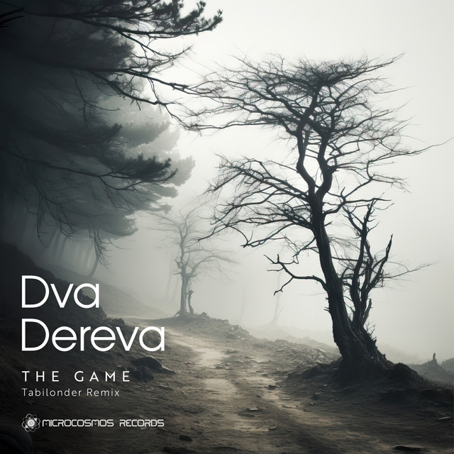 Cover art: The Game - Tabilonder Remix — Dva Dereva