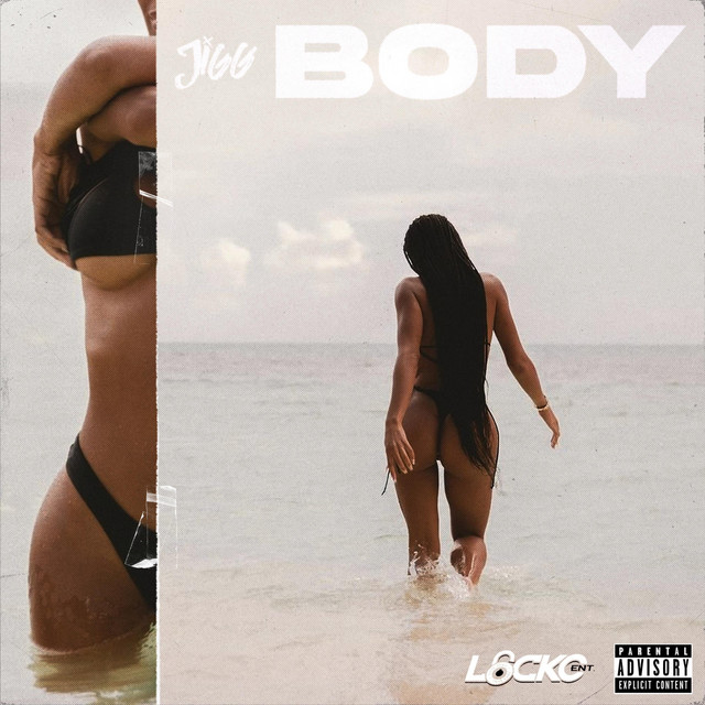 Body cover