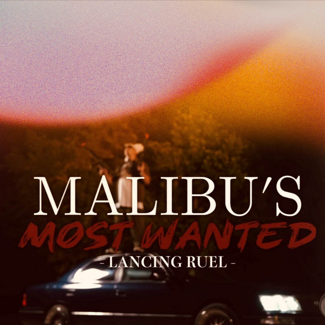Malibu's Most Wanted