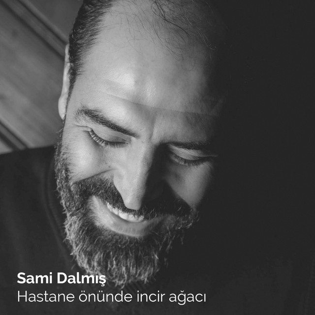 Sami Dalmış