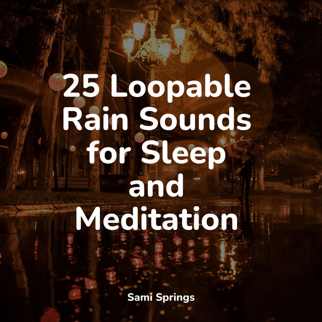 25 Loopable Rain Sounds for Sleep and Meditation - Album by Rain Sound ...