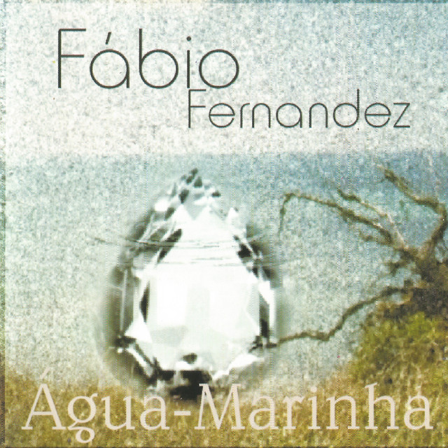 Fabio fernandez