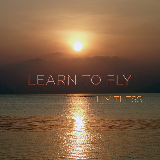 Learn to Fly cover art