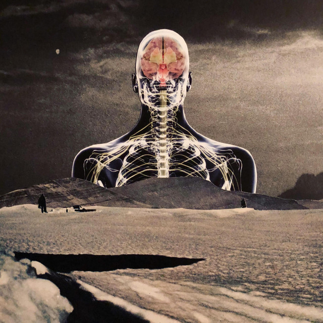 Simulated Being cover art