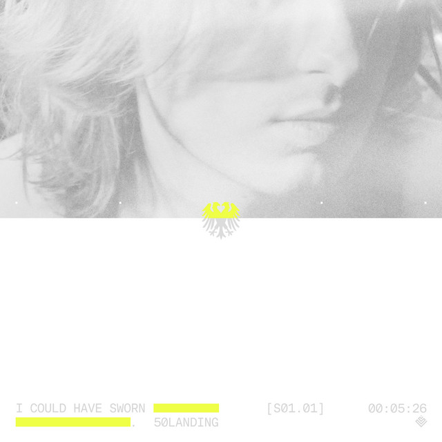 i could have sworn cover art