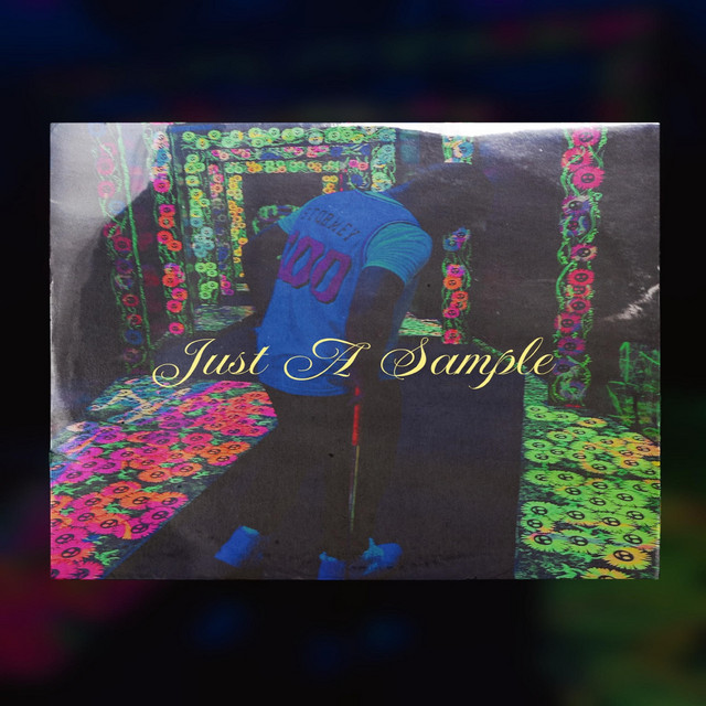 Just a Sample cover art
